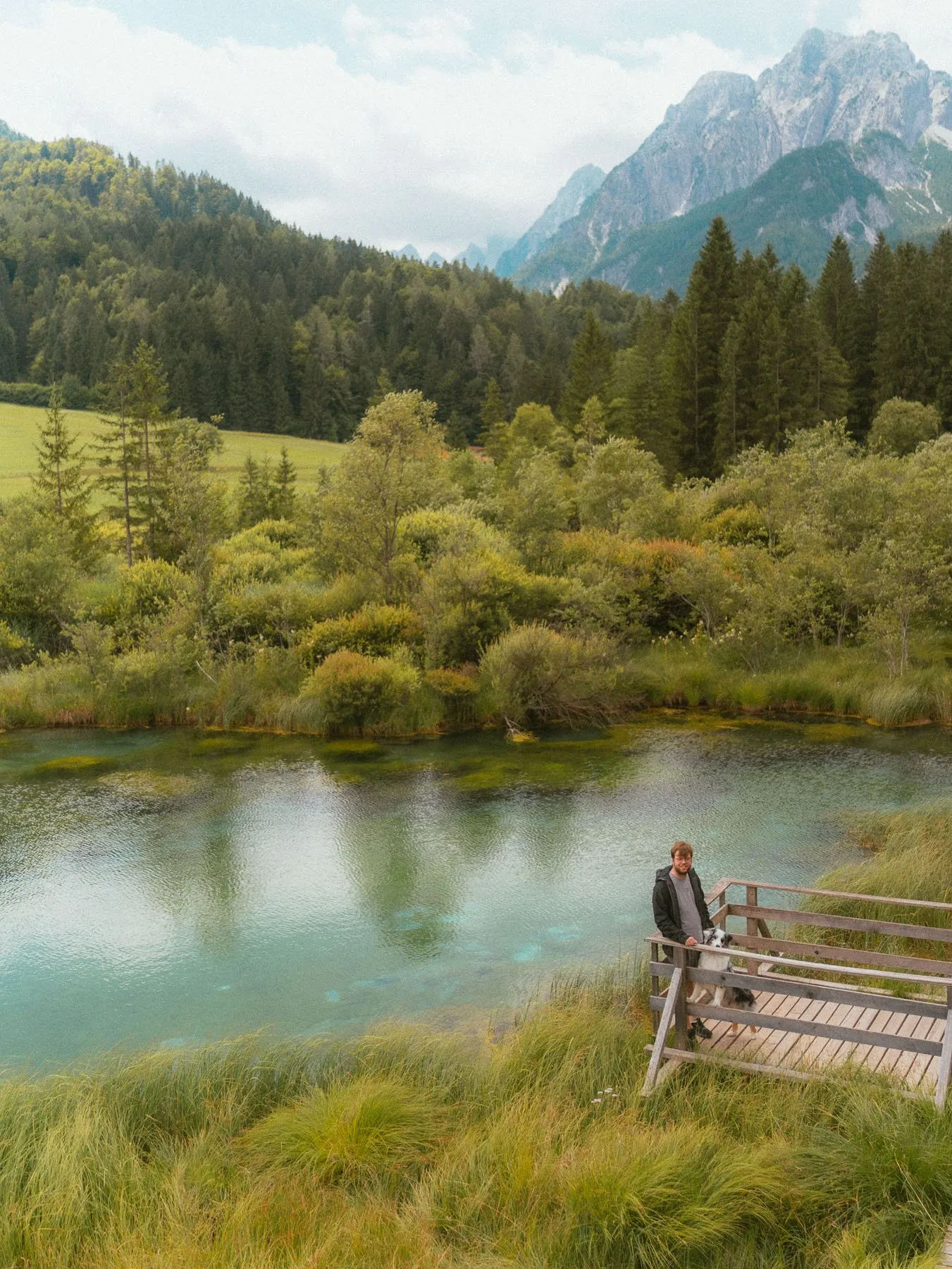 Reizen met hond naar Zelenci in Slovenië