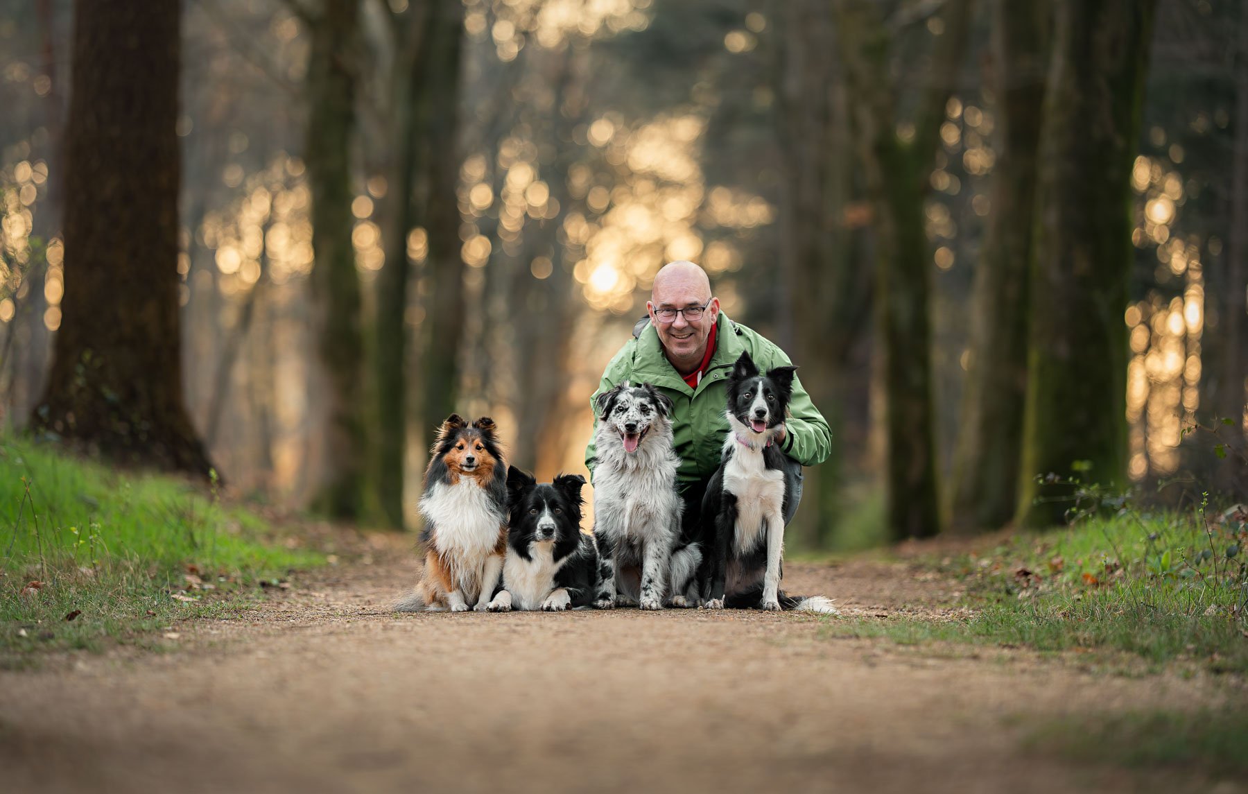 A man with four dogs in a forest on a sunny afternoon.