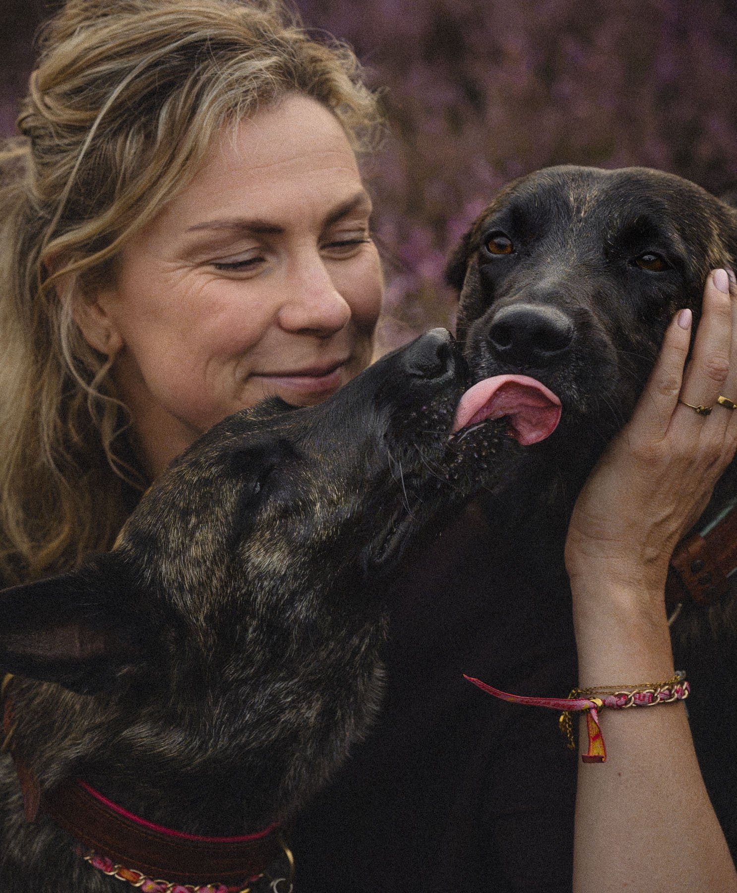 Detail photo of a hand and a dog