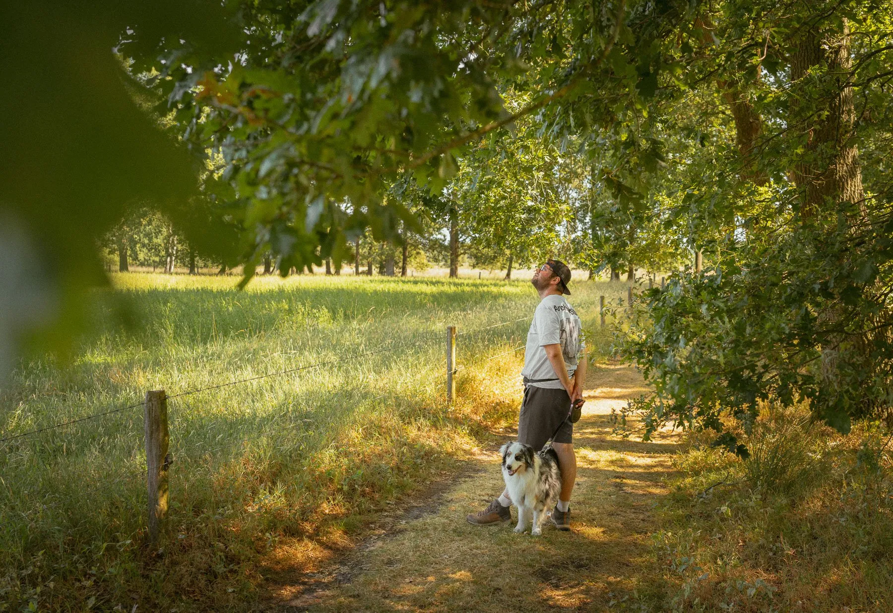 Oude bomen met bijzondere texturen tijdens een wandeling op de Kampina