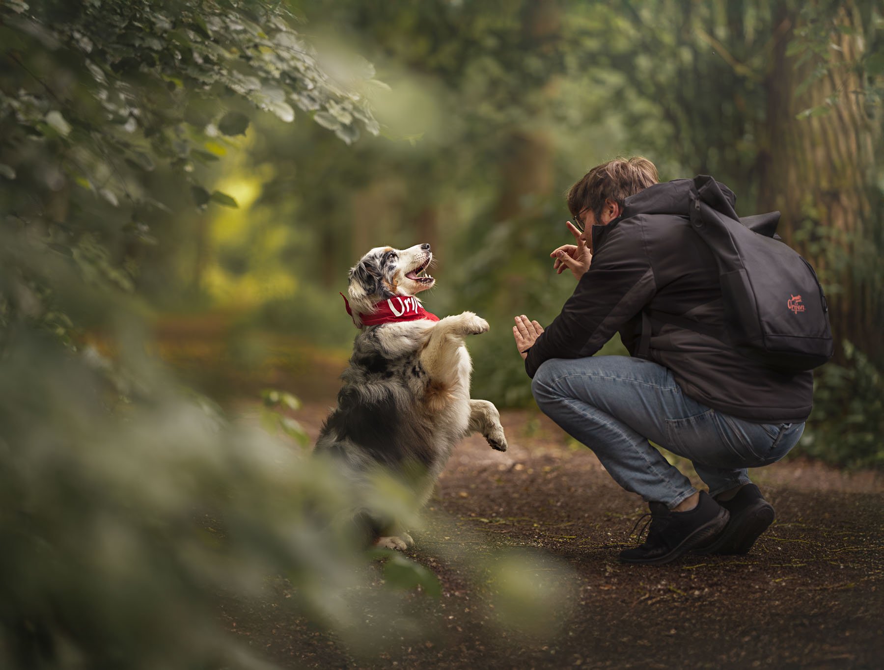 Man kneels on the ground in a forest, playing with a border collie standing on its hind legs while looking at him.