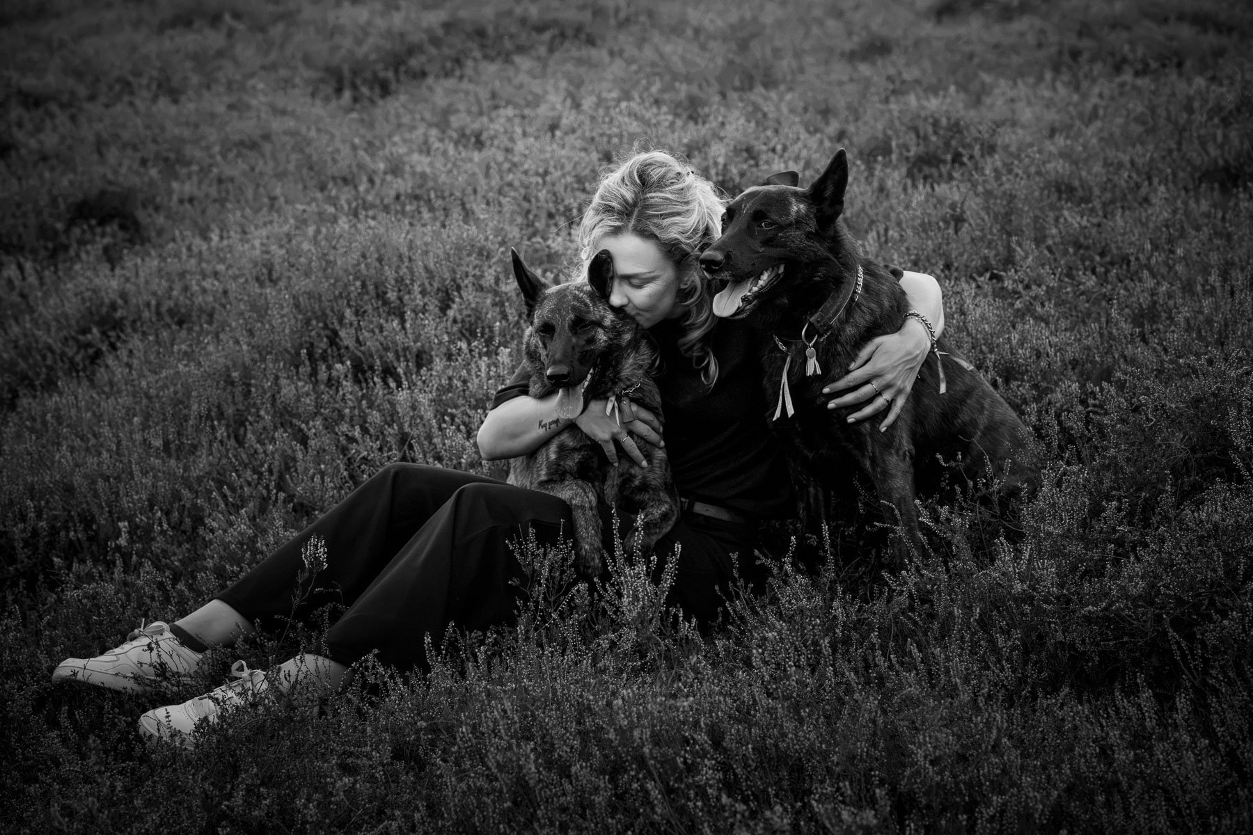 Black-and-white photo of Dutch shepherds in nature.