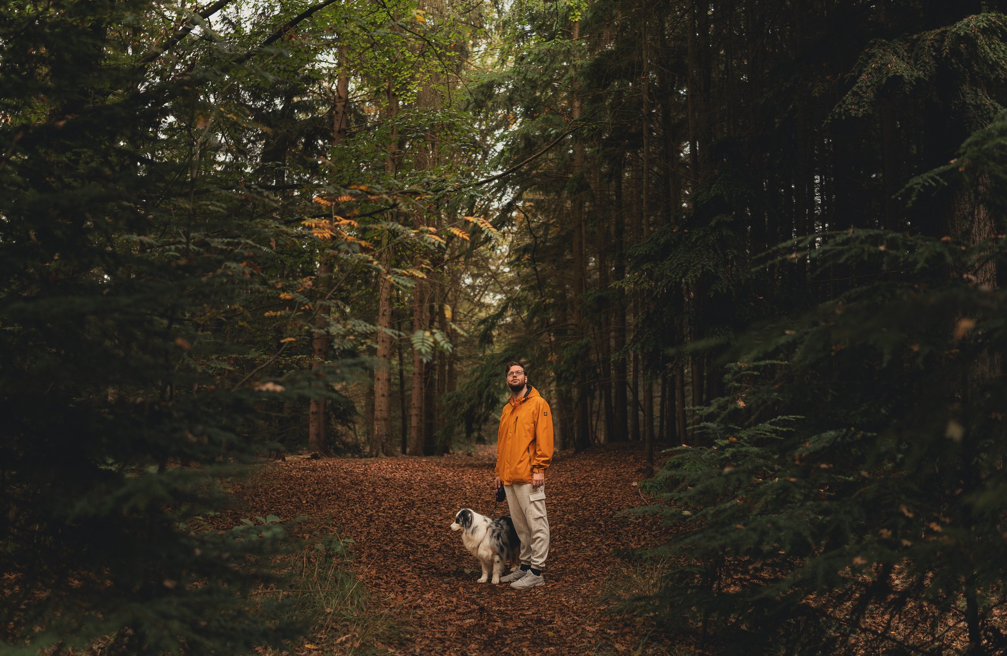 A man in an orange jacket stands with his dog on a forest path in autumn near Oss.