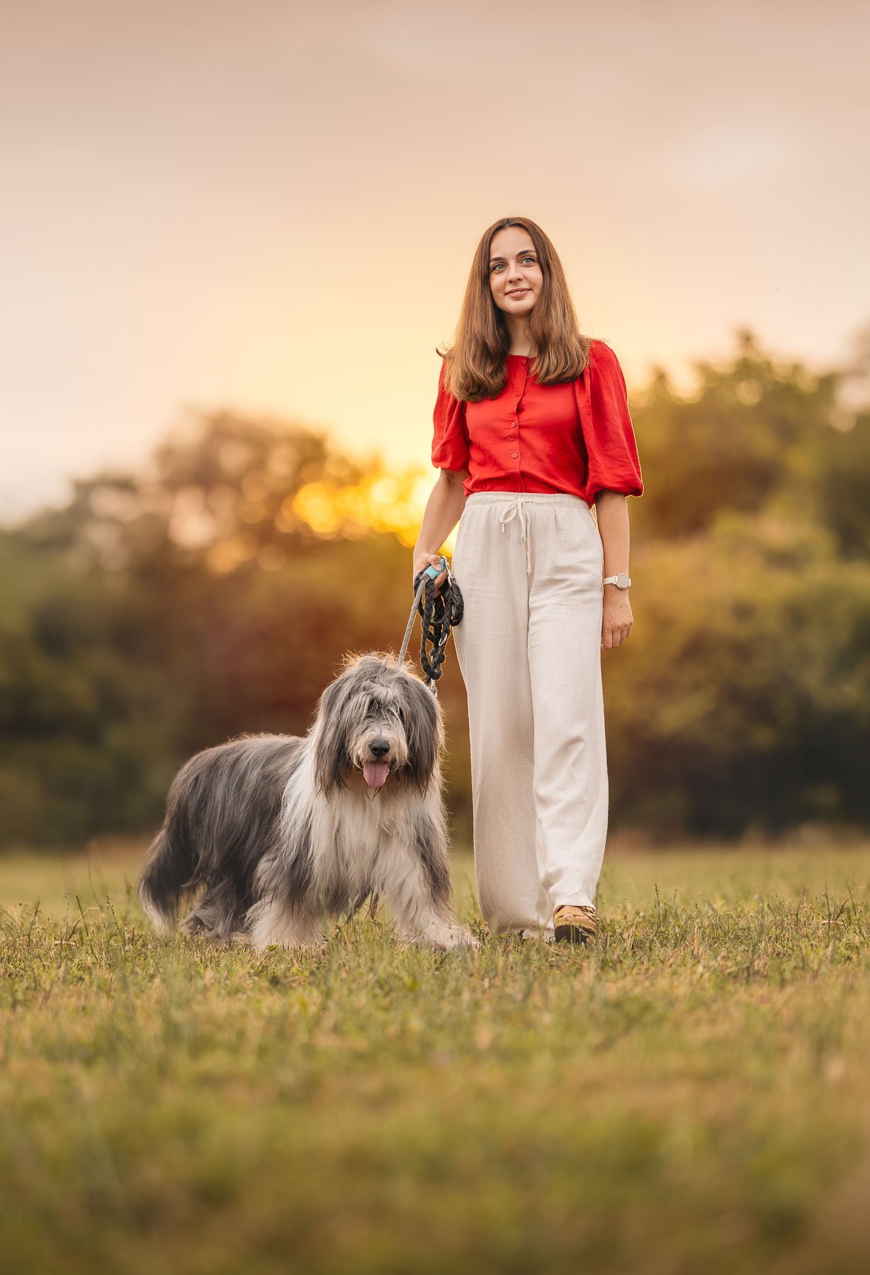Emotional photoshoot with a senior dog, a memory to cherish