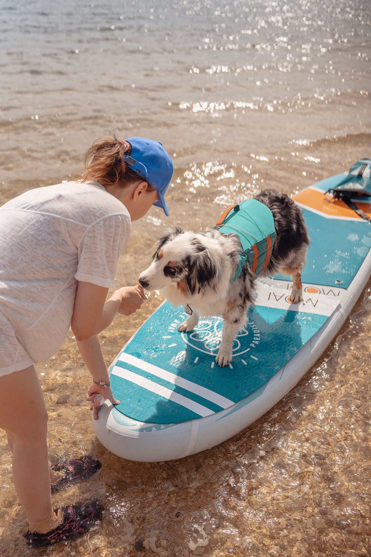 Woman in a blue cap and white T-shirt helps a dog onto a surfboard in the water by the beach. The dog wears a waterproof jacket; the water sparkles in the background.