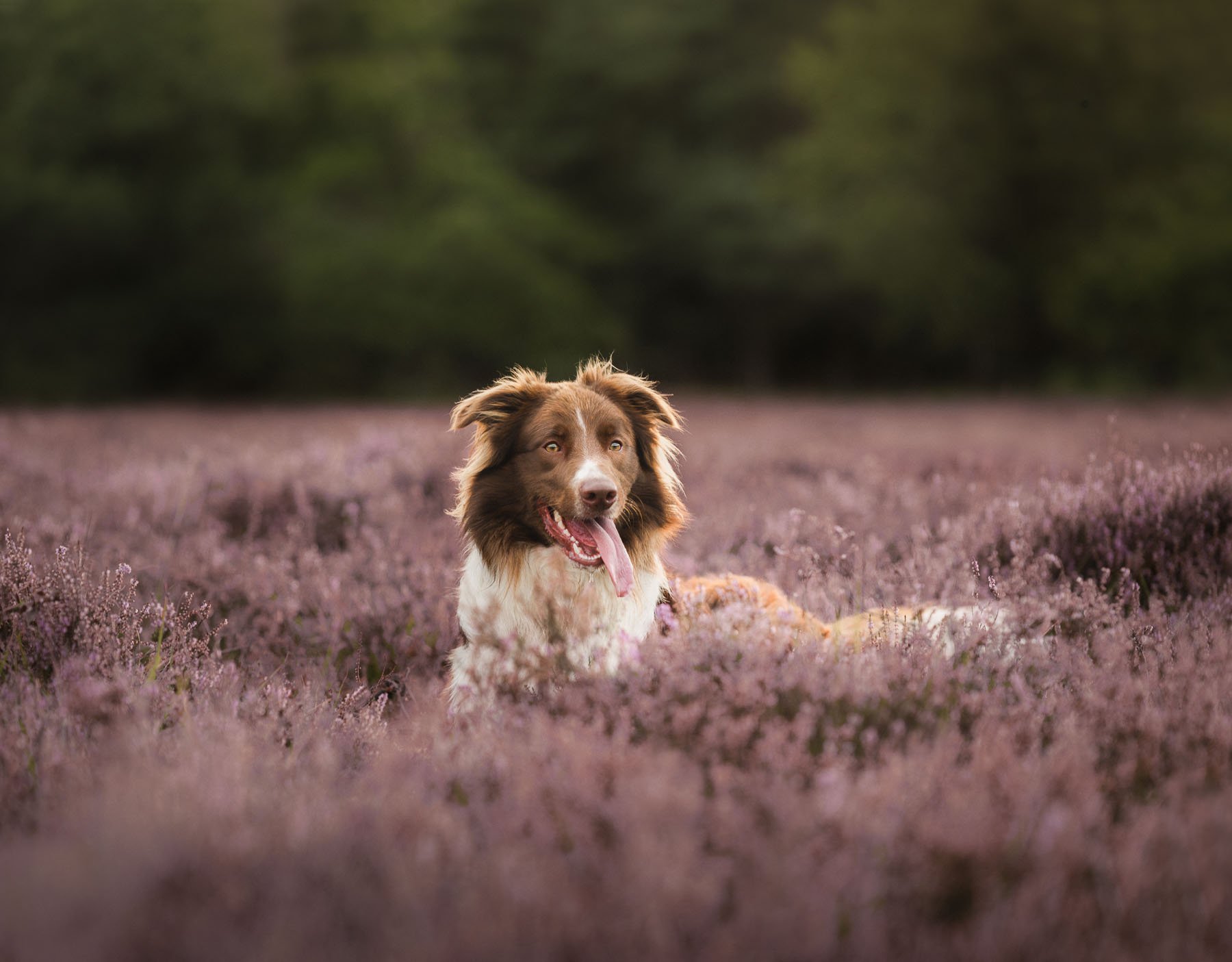 Sil during a calm photoshoot