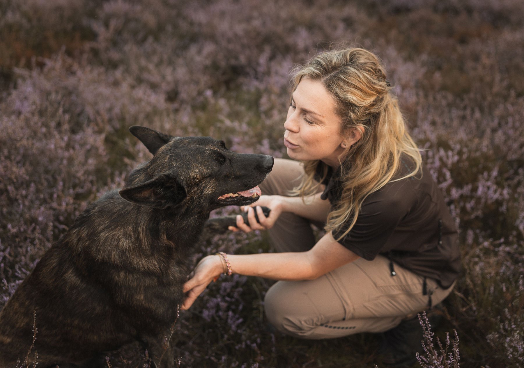 One of the shepherds does a trick with the owner