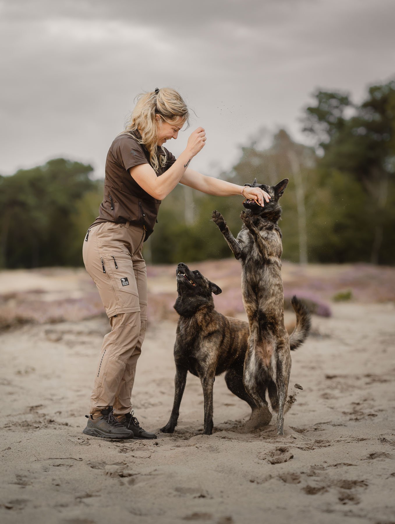 Jedi and Owen with their owner near Oss